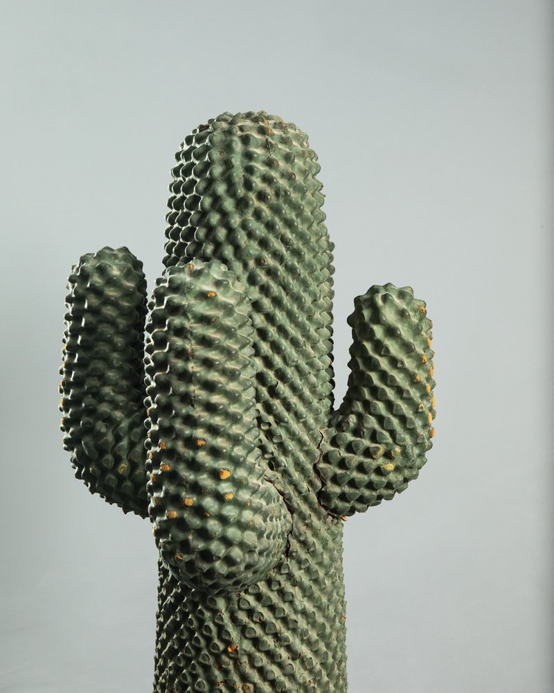 Drocco & Mello Sculptural Cactus Coat Rack