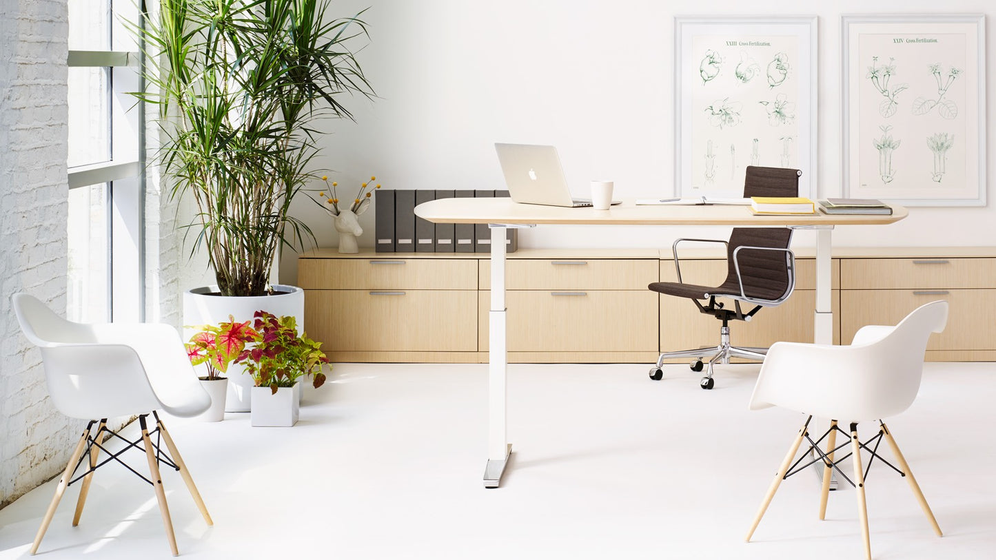 Eames Executive Office Chair